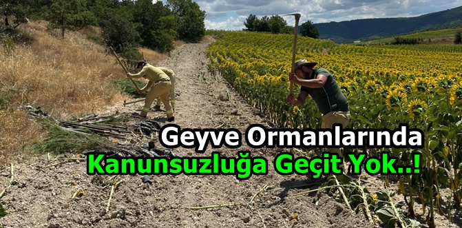 Çalışma, rant fırsatçılarının cesaretini kırdı...