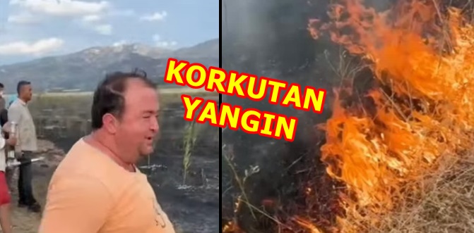 Bayat Mahallesi'ndeki yangında 150 dönümlük alan küle döndü..!