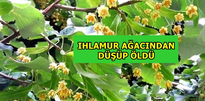Yakınları tarafından yerde hareketsiz halde bulundu