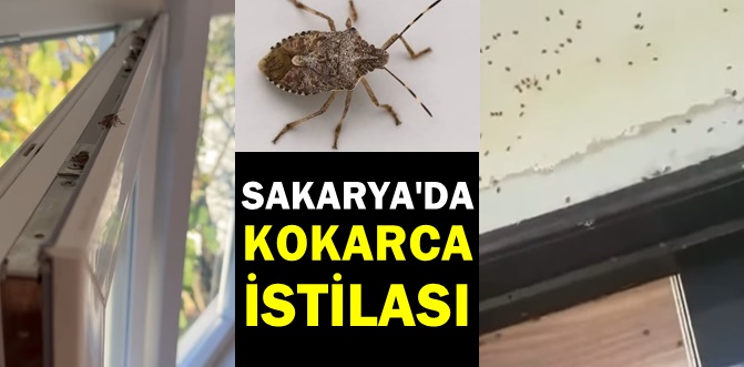 Evleri sardılar..!
